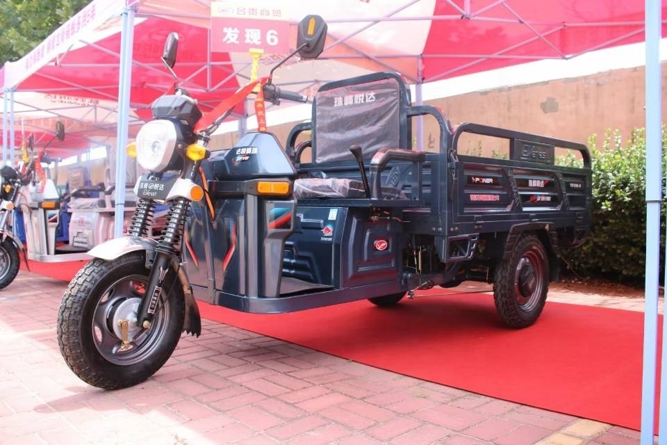 Electric Tricycles Adult Electric Trike Three Wheel Adult The Family 32A ISO 60V Motorcycles 125cc Cargo Triciclo 3 En 1 Open