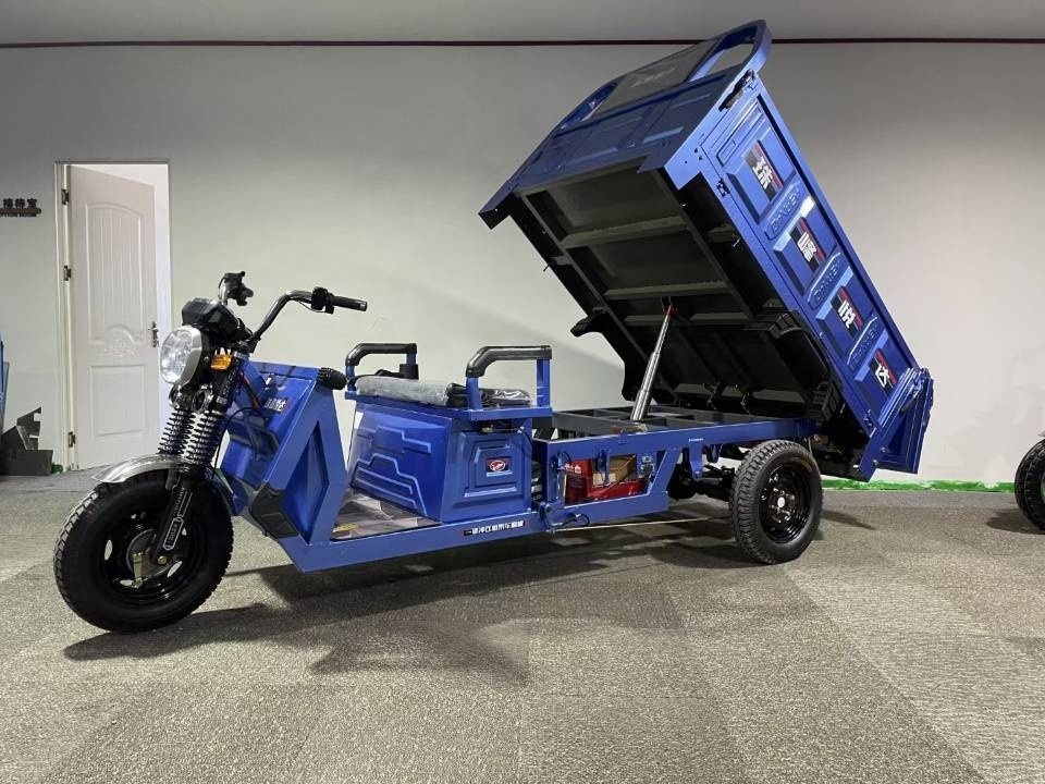 Electric Tricycles Adult Electric Trike Three Wheel Adult The Family 32A ISO 60V Motorcycles 125cc Cargo Triciclo 3 En 1 Open