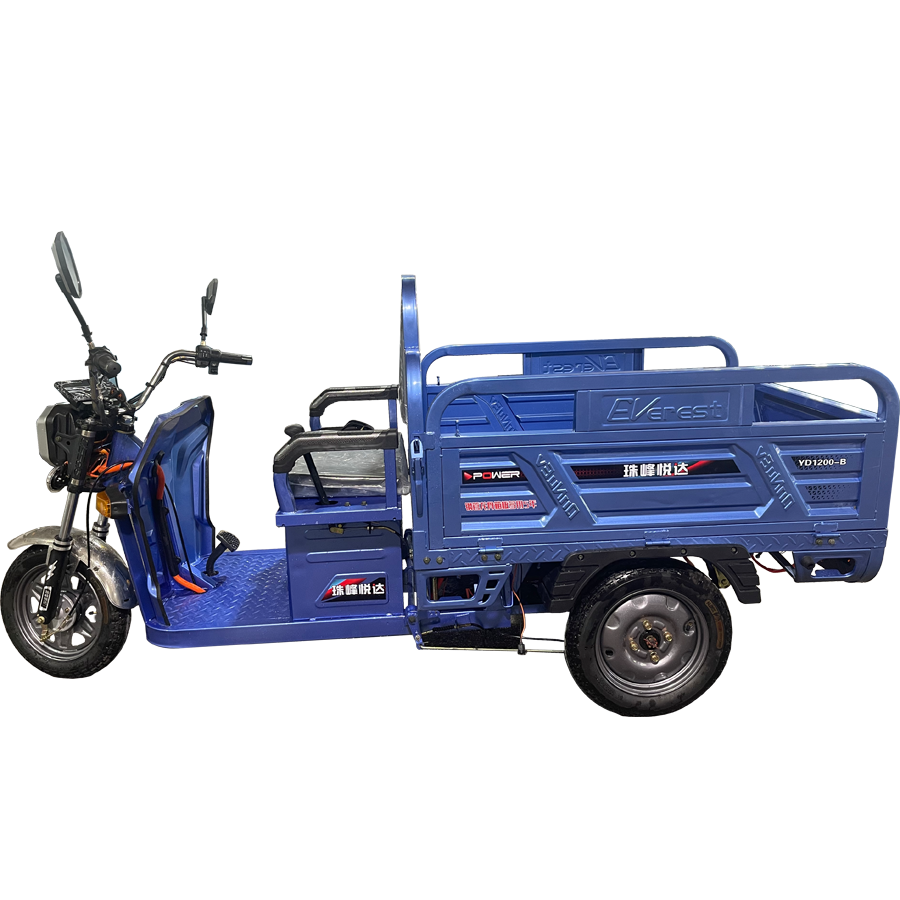 Electric Tricycle with Automatic Hydraulic Lifting System Powerful 1200W Big Tire Electric Cargo trike