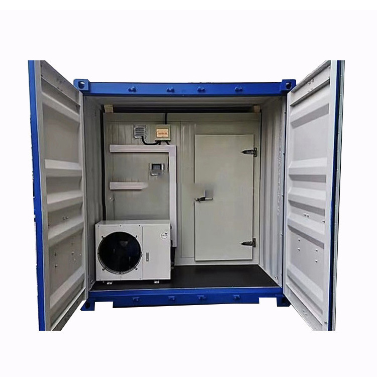 Container Cold Room 20ft Walk-in Freezer Solar Powered Cold Storage Room with Hinged Door Refrigeration Equipment