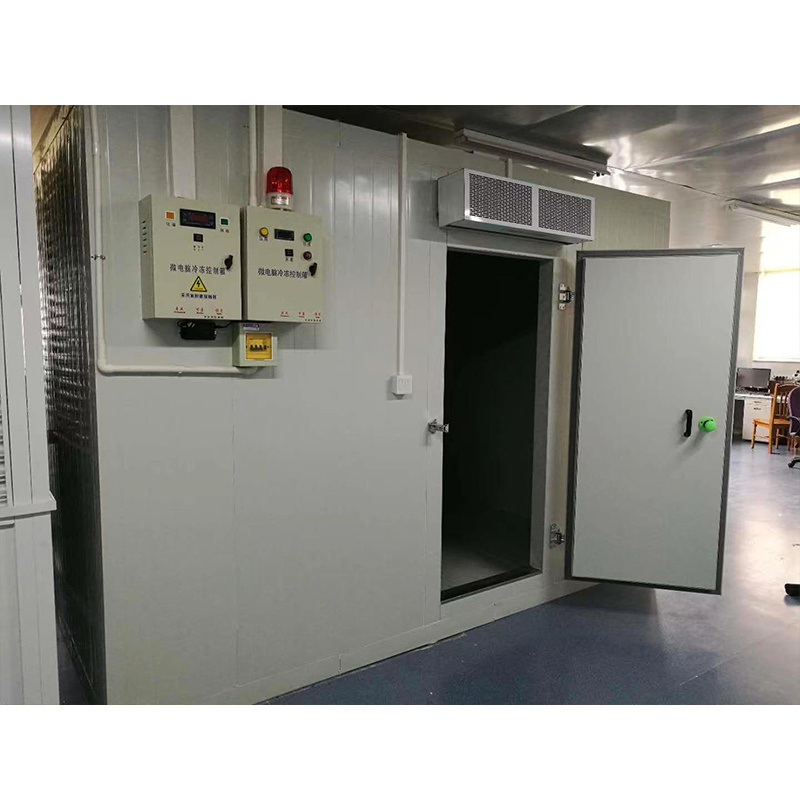 Modular Cold Room Refrigeration Unit Walk-In Coolers and Freezer Rooms with PU PIR PUF Insulated Sandwich Panel Cold Storage