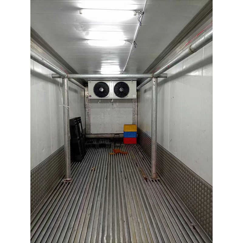 Container Cold Room 20ft Walk-in Freezer Solar Powered Cold Storage Room with Hinged Door Refrigeration Equipment