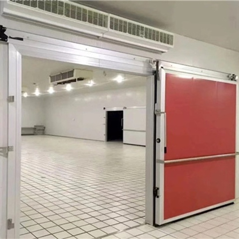 Cold Storage Manual Hinge Freezer Room Door Insulated Doors Cold Room Sliding Door