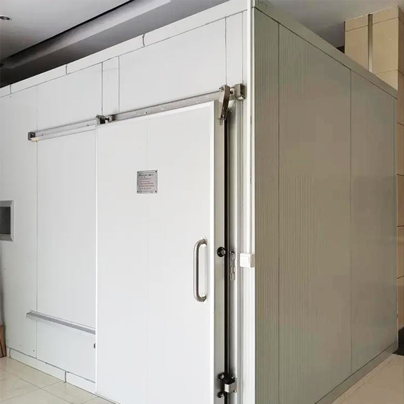 Cold Storage Manual Hinge Freezer Room Door Insulated Doors Cold Room Sliding Door