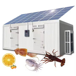 20ft Mobile Container Best Solar Power Cold Storage Room for Fish Meat Vegetable Ice Store