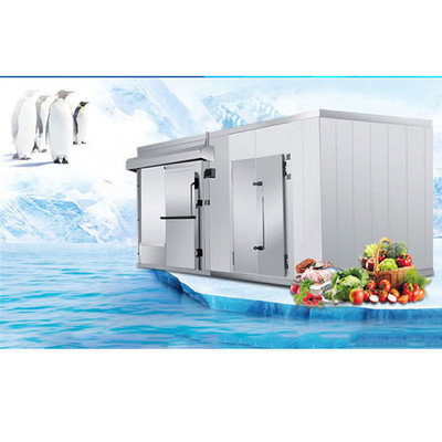 Wholesale container cold room freezer fruit vegetable freezer room cold storage for sale