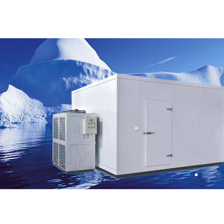 Customizable 4x 3 x 2.8m Cold Room -18'C 1Ph 220V 50HZ Or 3Ph 380V 50HZ Storage Cold Room  R404 4HP Air Cooling condensing unit