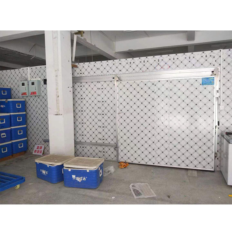 Modular Cold Room Refrigeration Unit Walk-In Coolers and Freezer Rooms with PU PIR PUF Insulated Sandwich Panel Cold Storage