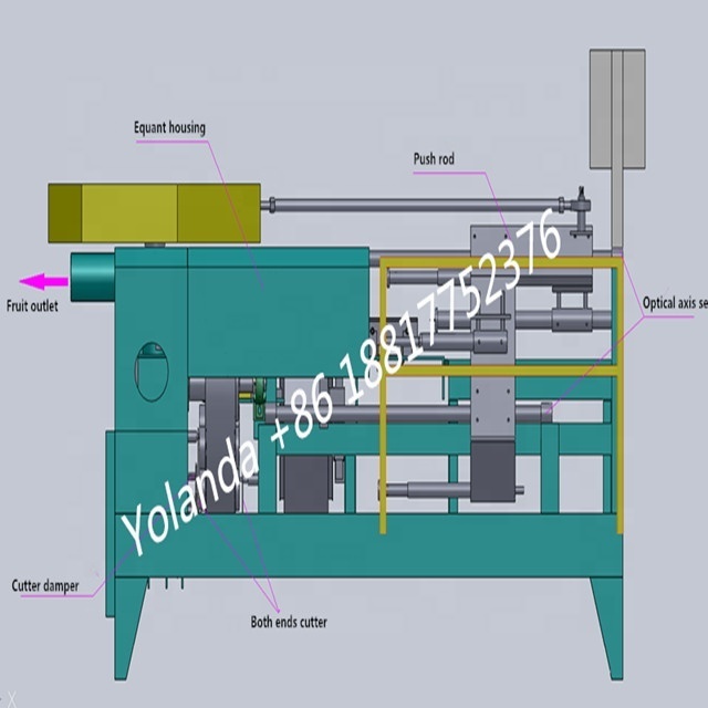 automatic pineapple peeling slicing machine