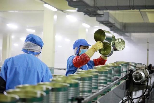 Canned mushroom production line is suitable of cucumbers, mushrooms, tomatoes including the filling glass bottles or cans