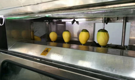 genyond automatic pineapples,peeler peeling machine