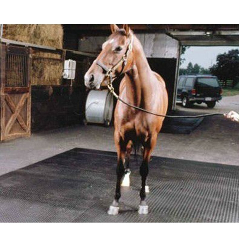 rubber cattle matting  provide sure footing and a quiet, firm, but resilient surface for livestock