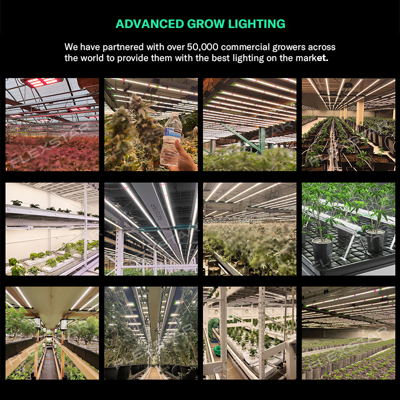 In Stock 5-Year Warranty 2.8umol/J Higher Yields Led Under Canopy Lighting