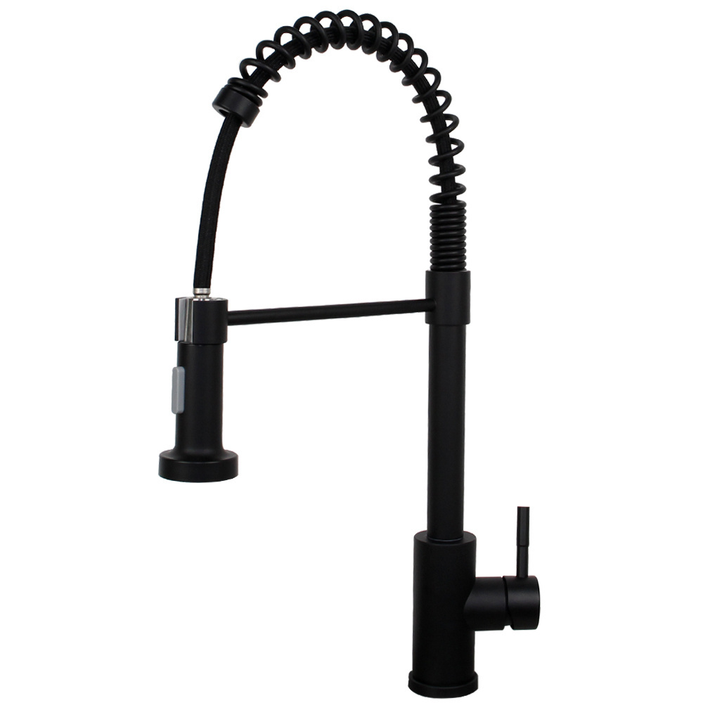 sprayer gourmet luxury faucet kitchen morocco pull out handle modern design kitchen faucets