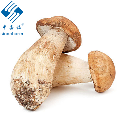 Wild Dried sliced porcini mushroom  boletus edulis