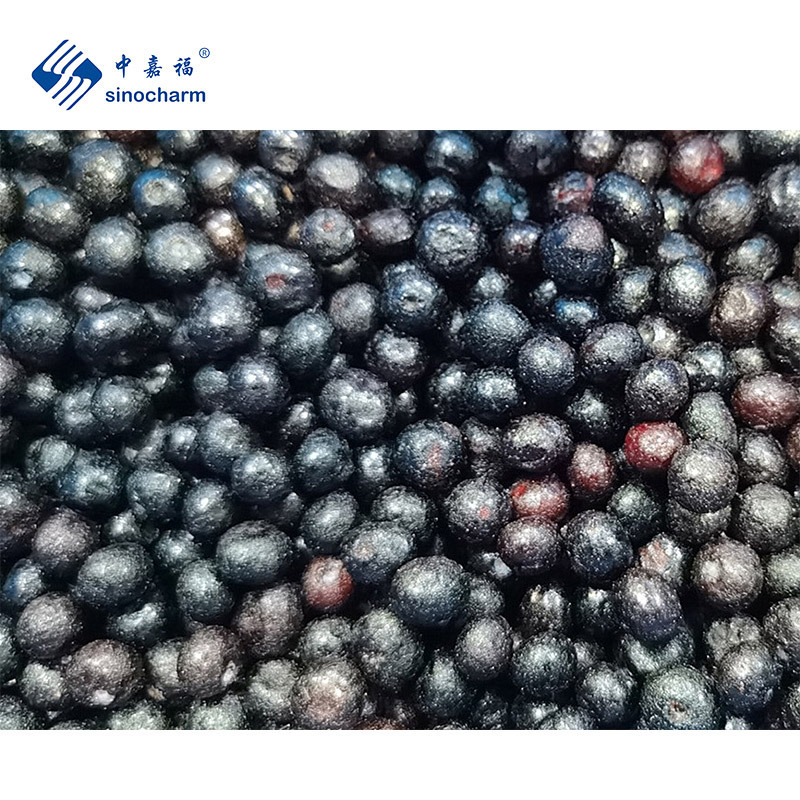 Sinocharm BRC A Approved IQF Cultivated Blueberry Whole Frozen Organic Blueberry