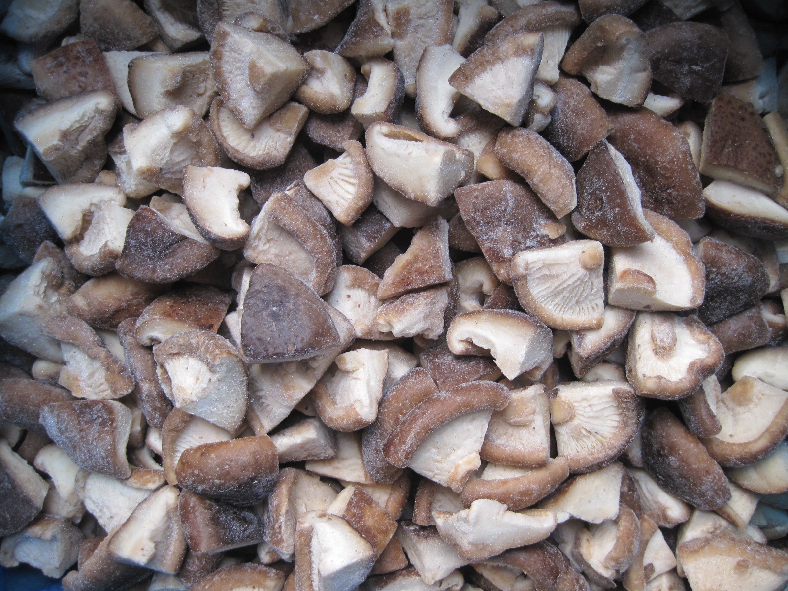 New Crop Delicious White Frozen  Mushroom Champignon Frozen Shiitake