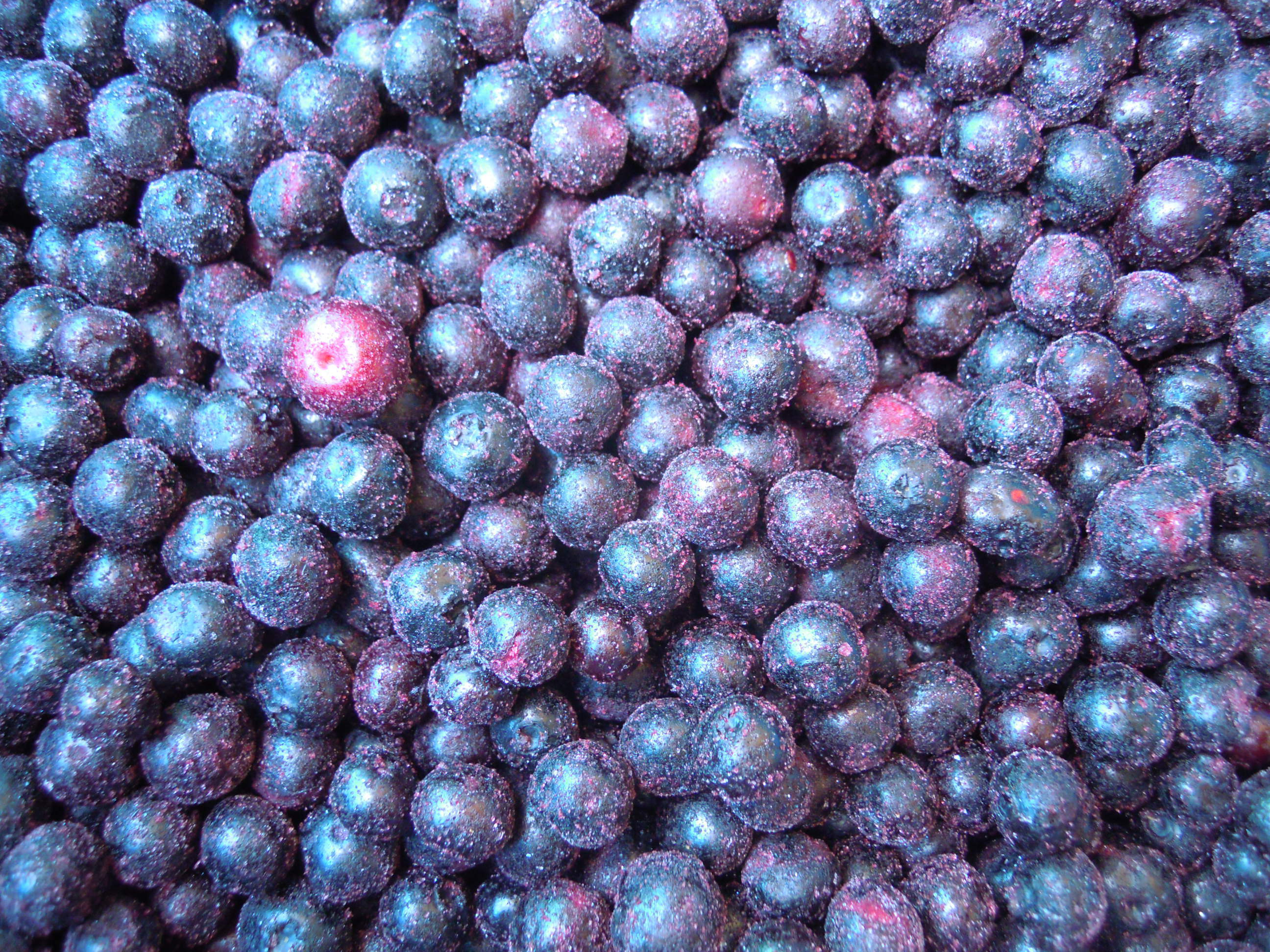 Sinocharm BRC A Approved Wild And Cultivate Frozen Fruit Fresh Taste IQF Frozen Blueberry