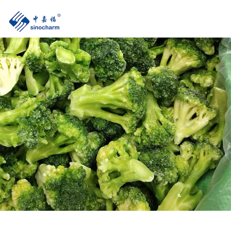 Sinocharm BRC A Approved 3-5CM IQF Broccoli Floret Cut Frozen Broccoli