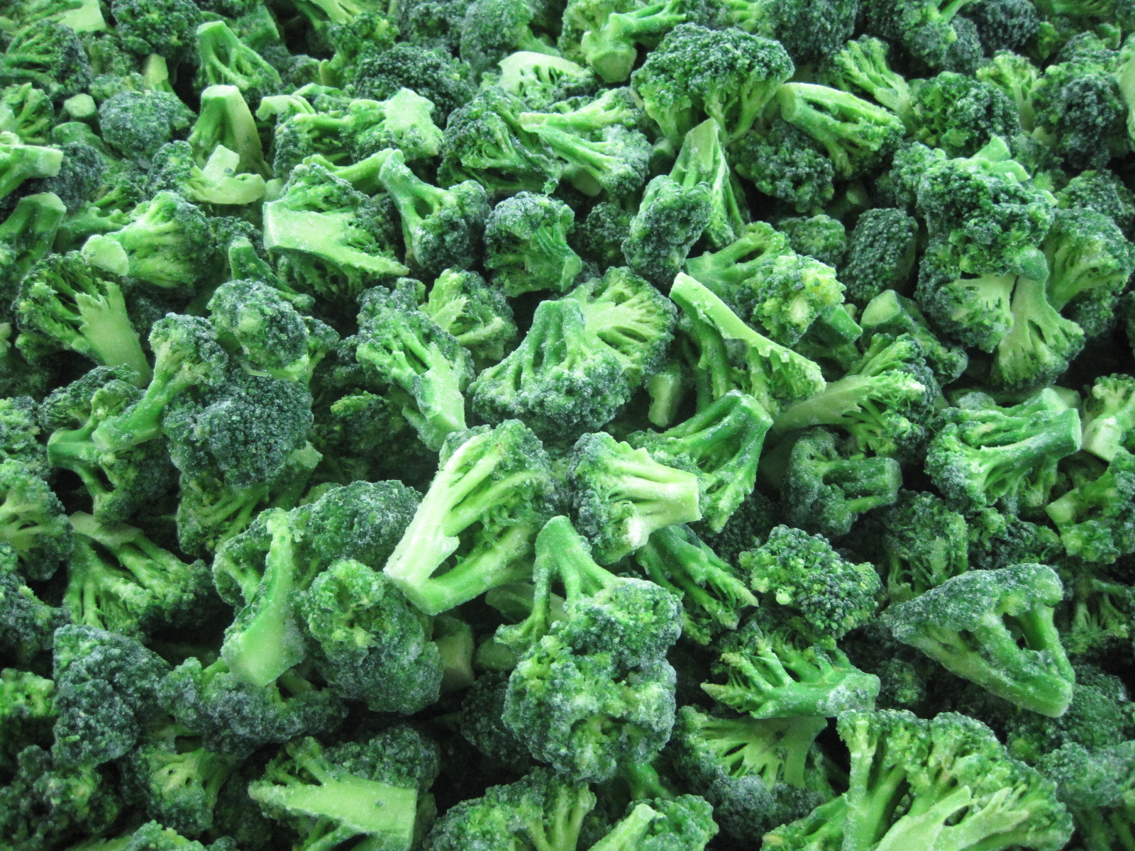 Sinocharm Halal Certified IQF Wholesale Price 1kg Pack 3-5cm Frozen Broccoli Floret Frozen Vegetables