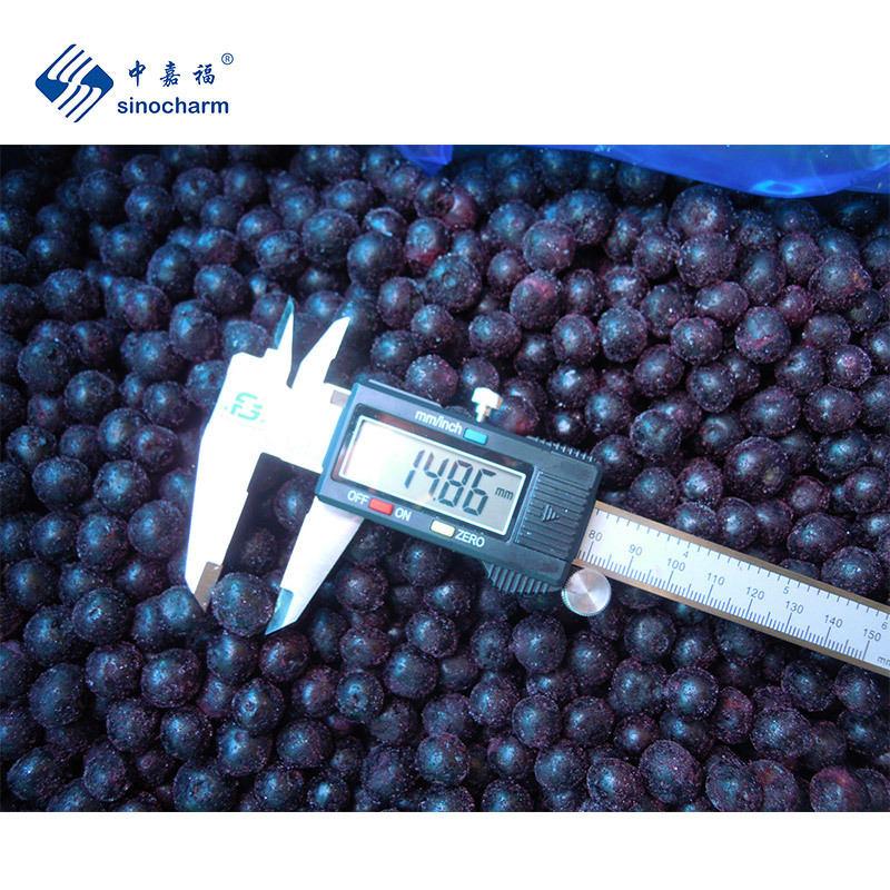 Sinocharm BRC A Approved Wild And Cultivate Frozen Fruit Fresh Taste IQF Frozen Blueberry