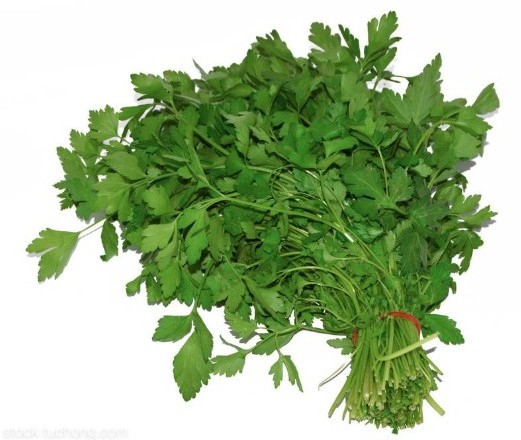 Herbs IQF Frozen Chopped Parsley