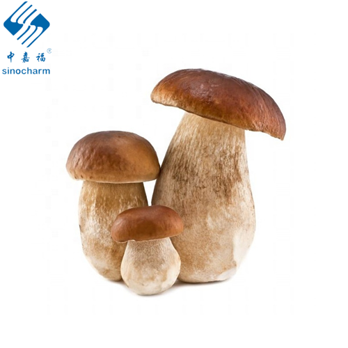 Wild Dried sliced porcini mushroom  boletus edulis