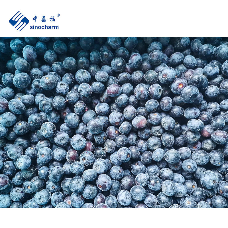 Wholesale Fresh Fruit IQF Frozen Blueberry