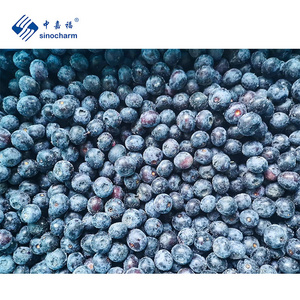 Wholesale Fresh Fruit IQF Frozen Blueberry