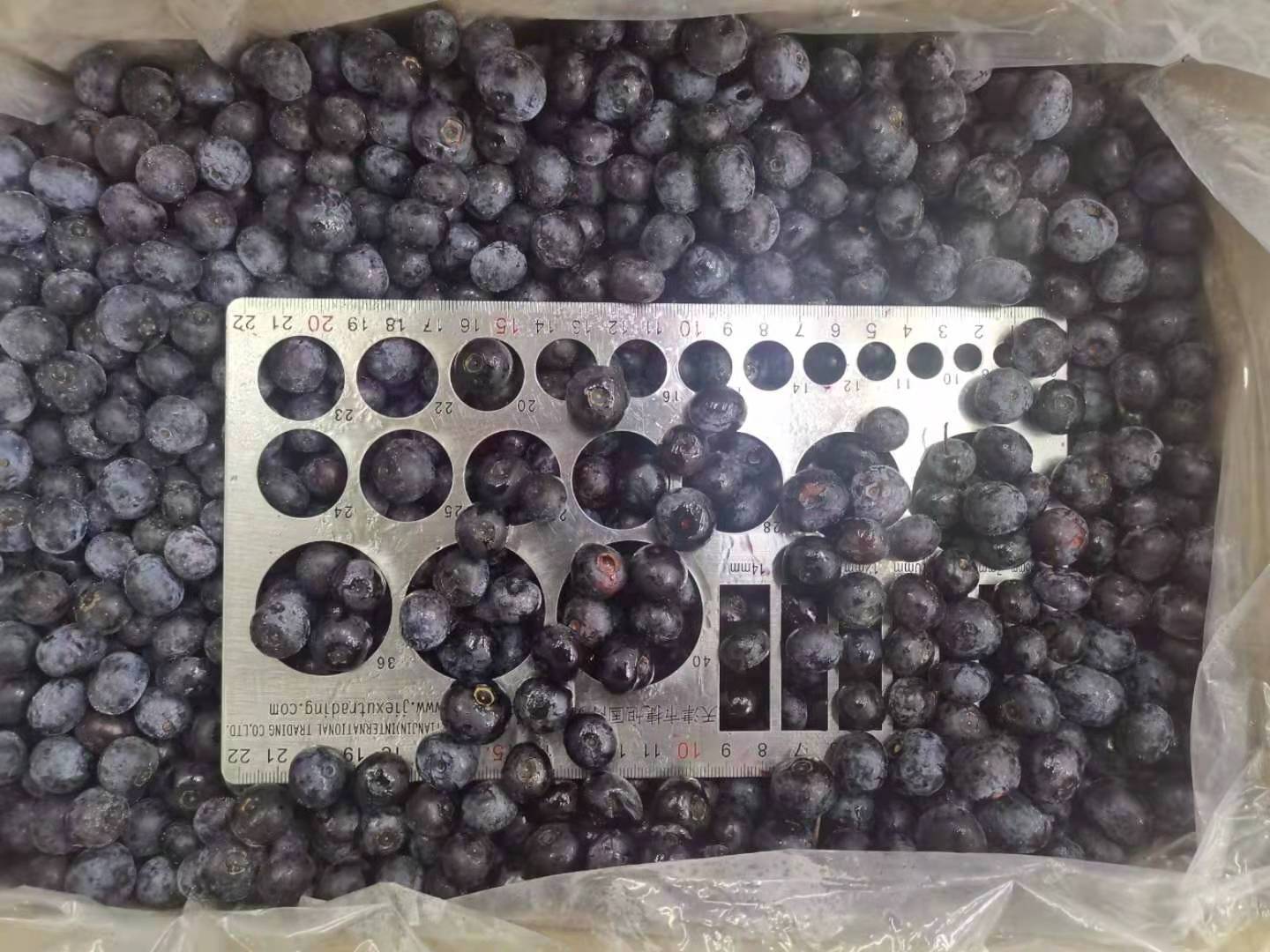 Sinocharm HACCP Frozen Fruits Manufacture Wild Cultivated Wholesale Price 1kg IQF Frozen Fresh Sweet Organic Blueberry