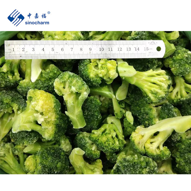 Sinocharm BRC A Approved 3-5CM IQF Broccoli Floret Cut Frozen Broccoli