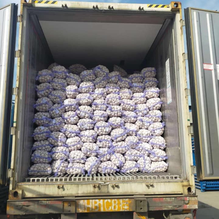 Sinofarm supply China fresh garlic for importers ajo blanco fresco de chino 10 kilos para colombia exportadores de china