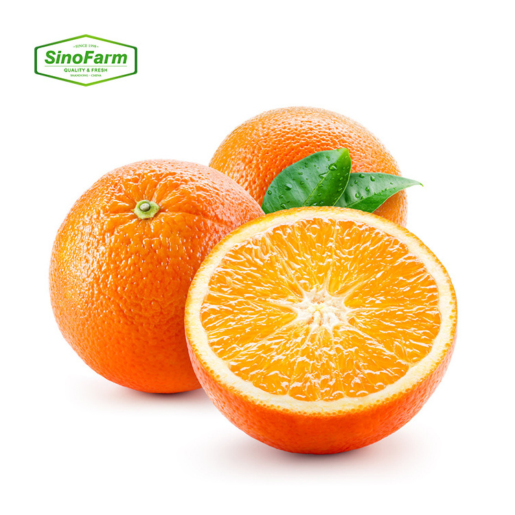 Navel Orange Valencia Orange Fresh Fruits High Quality Fresh Organic Orange