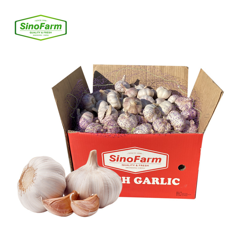 new crop fresh garlic normal white and pure white garlic for sale with garlic price in China