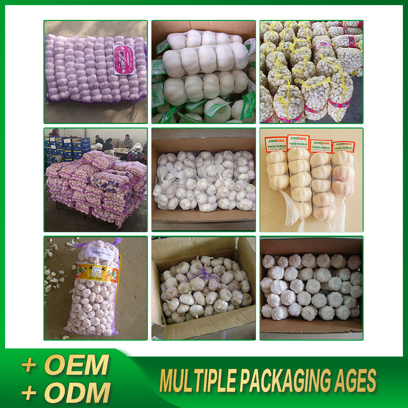 new crop fresh garlic normal white and pure white garlic for sale with garlic price in China