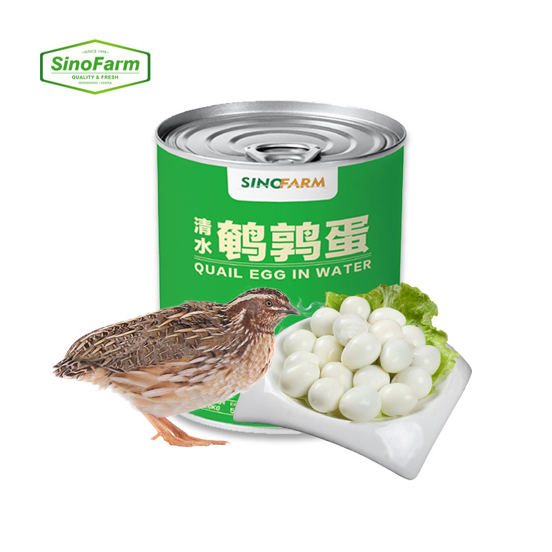 Chinese Canned boiled Quail Eggs Price from Quail Farm