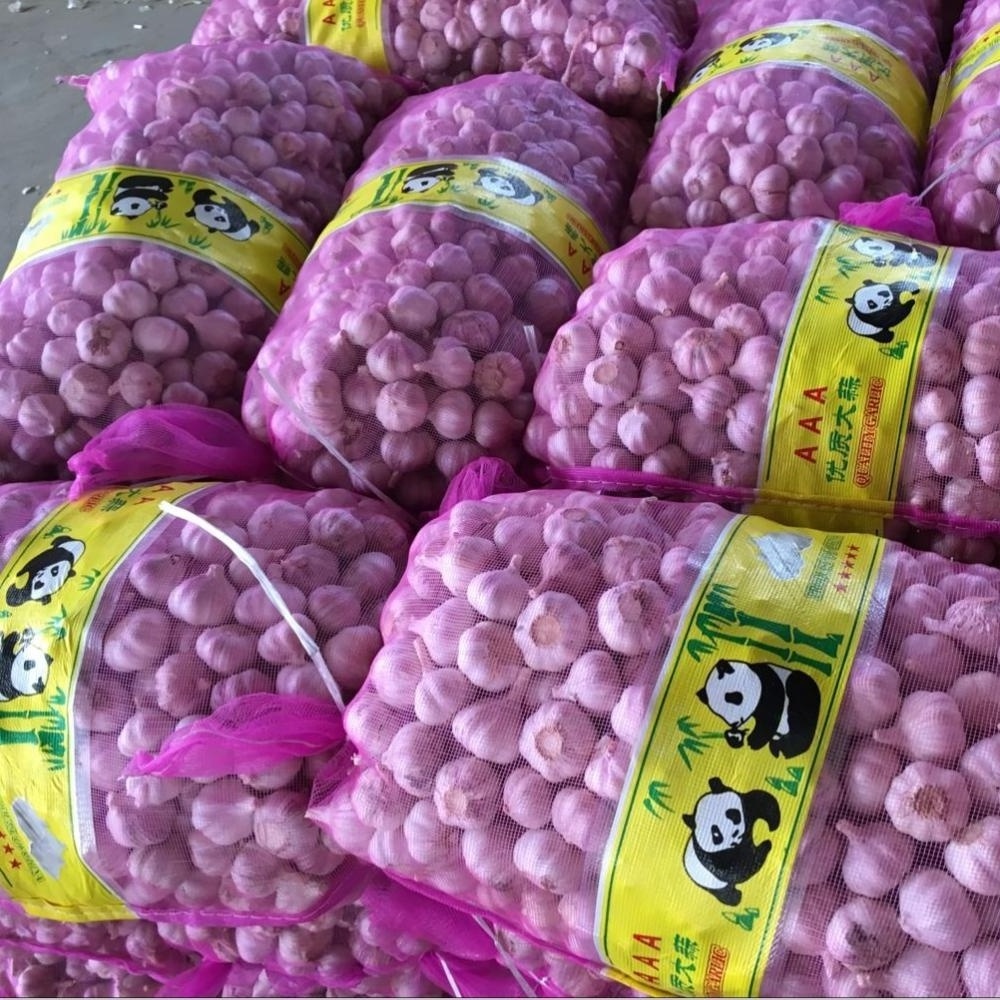 Sinofarm supply China fresh garlic for importers ajo blanco fresco de chino 10 kilos para colombia exportadores de china