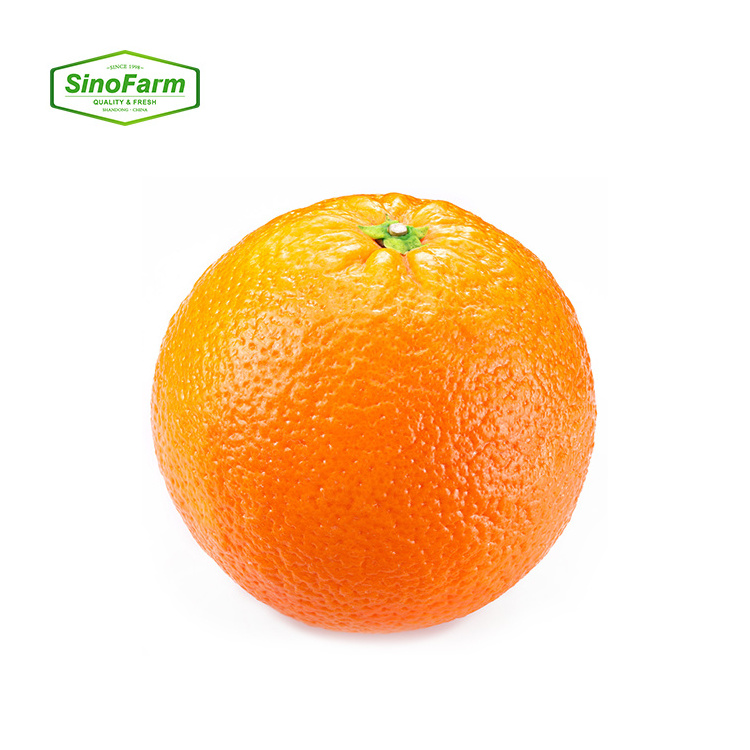 Navel Orange Valencia Orange Fresh Fruits High Quality Fresh Organic Orange