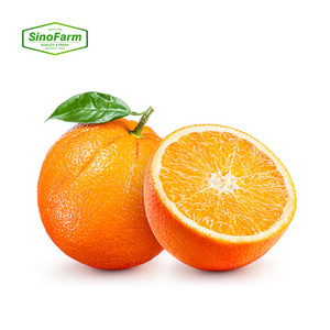 Wholesale Delicious Sweet Fresh Citrus Fruit Fresh Oranges Red Citrus Red Orange For Sale