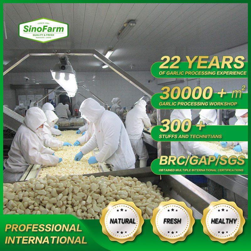 Sinofarm brand new crop fresh Chinese peeled garlic cloves packed by vacuum for wholesale with GAP low price for sale in China