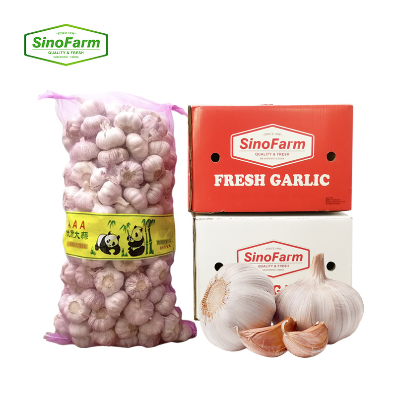 2023 new season SINOFARM brand China fresh garlic fresh snow pure white garlic ajo alho garlico price from fresh garlic supplier