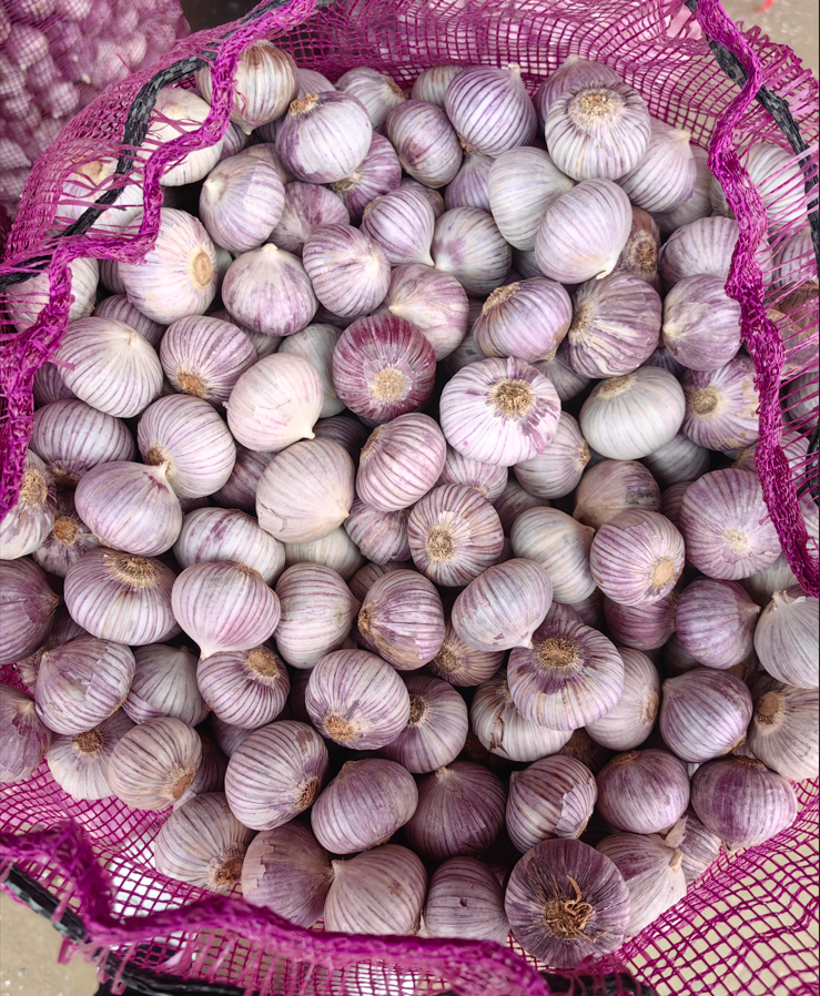 Export High Quality Fresh Purple White Single Clove Garlic Solo Garlic Lonely Garlic Wholesale