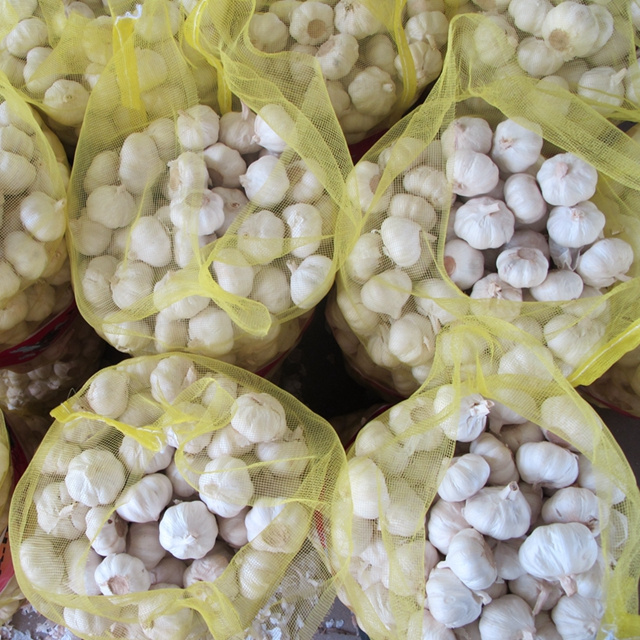 New arrival fresh pure white garlic ali alho supply from China Sinofarm garlic manufacturers