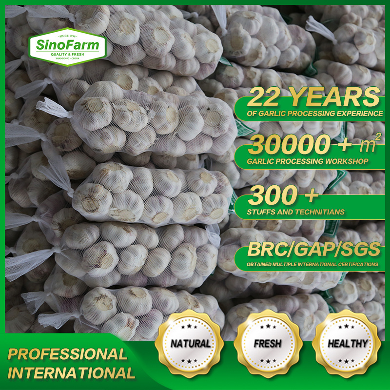 Fresh garlic red ajo Chino 2023 crop supply as garlic normal white and pure white aile with best Chinese garlic price