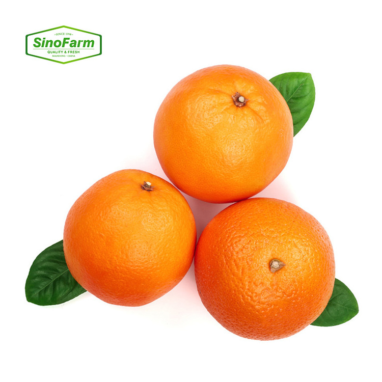 2023 new season Siofarm brand Fresh citrus orange fruit from China Fresh Mandarin sweet oranges for sale