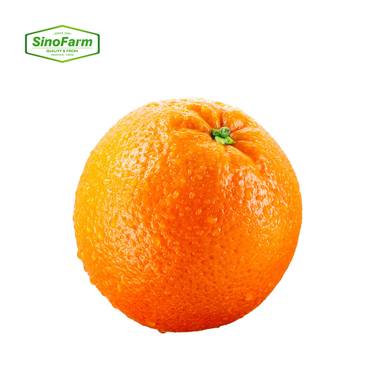 Wholesale Delicious Sweet Fresh Citrus Fruit Fresh Oranges Red Citrus Red Orange For Sale