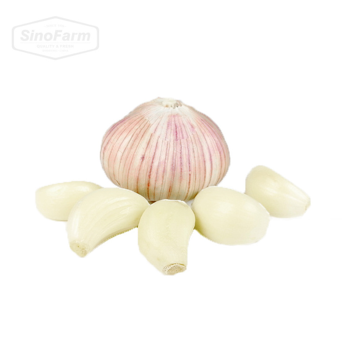 Chinese Fresh Peeled Garlic Cloves Vacuum Bag Packing Cheap Price Wholesale Peeled Garlic For Sale