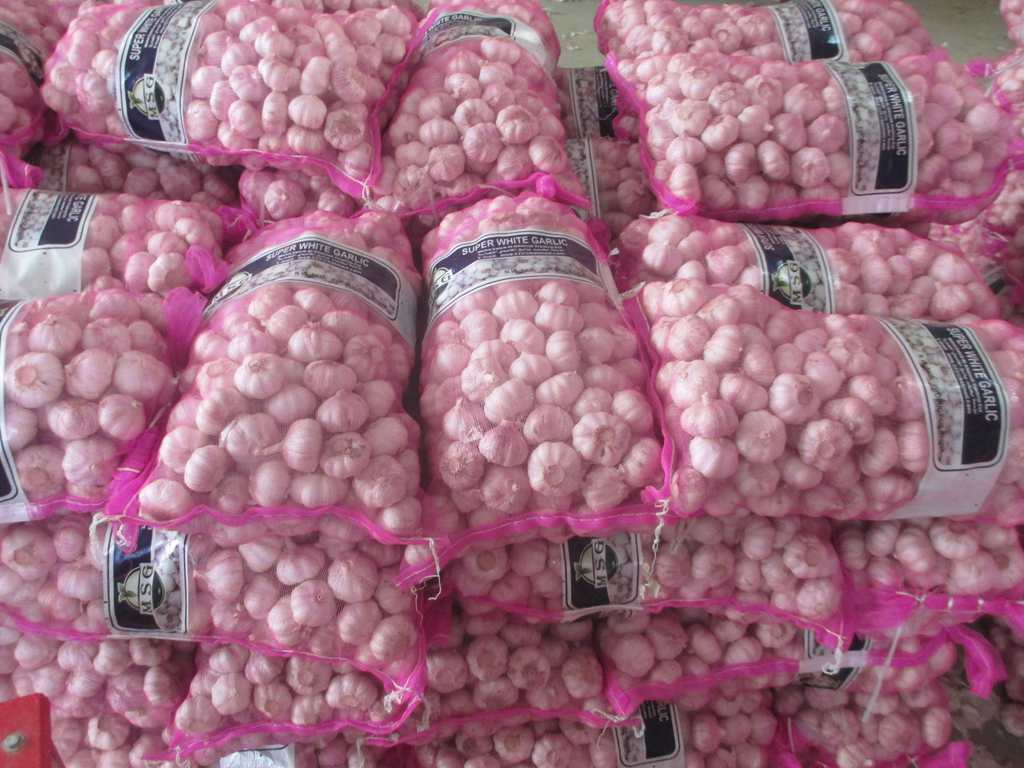 Fresh garlic red ajo Chino 2023 crop supply as garlic normal white and pure white aile with best Chinese garlic price