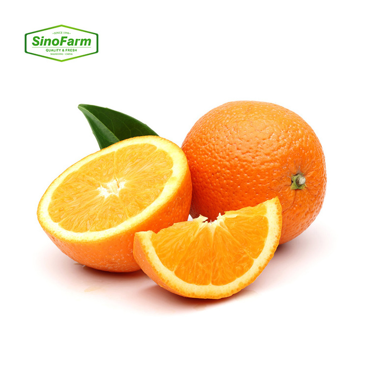 Navel Orange Valencia Orange Fresh Fruits High Quality Fresh Organic Orange