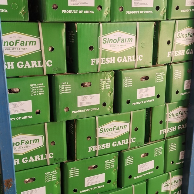 Sinofarm supply 2023 Garlic China Good Farmer Garlic Normal/Pure White red garlic ajo chino Price